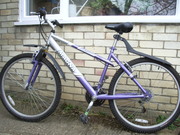 Mountain bike for sale