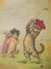 Sports Playing Funny Cats and Dogs on Art Prints