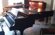 Piano Steinway model D-274 for sale