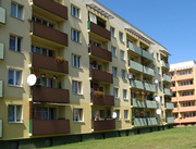 Polish producer of artificial rattan products