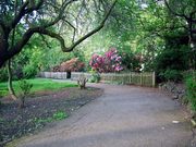 Free Poetry Workshop