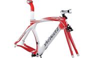 Specialized Transition Pro 2011 Frameset (www.spectasports.com)