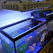 165W LED Aquarium Lamp Light For Fish Tank
