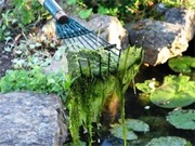 blanket weed prevention