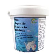 Nitrifying  Bacteria