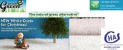 White snow grass on this Christmas by Perfectly green 