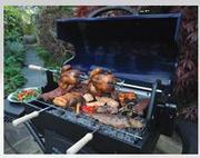Barbeskew Barbecue Rotisserie for great grilling