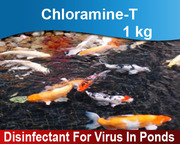 Fish Pond Disinfectant