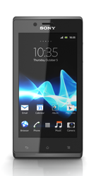 Sony Xperia J  (Silver-66691)