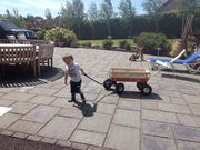 Give your kid the best pull along toys