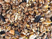 Buy the quality garden bird food