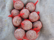 Get fat balls for birds from Well Fed Birds