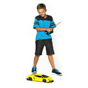 Buy Online Lamborghini Aventador LP700-4