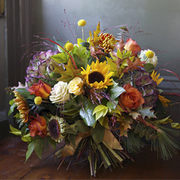 Narcissus: Get the best flowers for every occasion