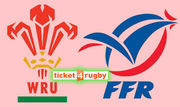 Six Nations Wales v France