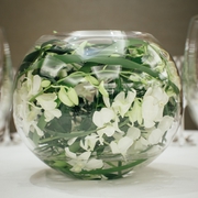 Narcissus,  a well known florist in the corporate world