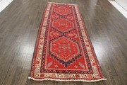 Buy Traditional Persian Zanjan Rug 9.8X3.8