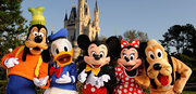 Get the Disneyland Single Tickets