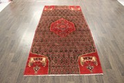 Buy Traditional Persian Koliaie Rug 8X3.9
