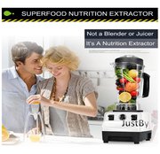 Professional Power Blender