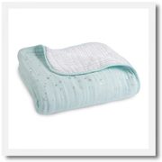 Aden and Anais blankets