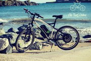 ALL TURF EBIKE 1000W 16AH ELECTRIC BIKE - DUAL POWER CONTROL