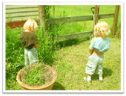 Thinking about Potty Training?