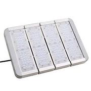 Led Grow Lights
