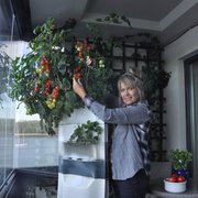 Hydroponic Garden