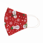 Washable face masks and Face masks pouch set