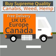 Wondering where to get stress-free therapy?