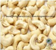 Vietnamese Cashew Nut Kernels WW240,  WW320