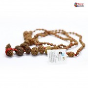 Buy rudraksha silver chain @Pmkkgems