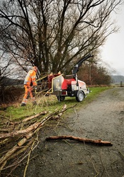 Looking for a Reliable Wood Chipper Near You?