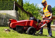 Want Affordable Stump Grinding Services?