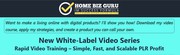 IM SUCCESS FOMUL 03: Rapid Video Training -Simple,  Fast and Scalable P
