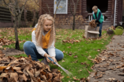 Expert Services for Garden Clearance | Ambition Services LTD