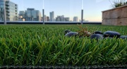 35mm Artificial Grass Roll – Perfect for Gardens, Balconies & Landscap