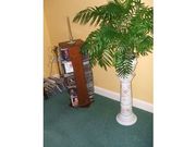 Jardinaires Two One large One Small Marks & Spencer