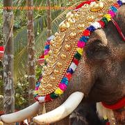 Natural Article Shop   