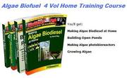 Making Algae Biodiesel at Home
